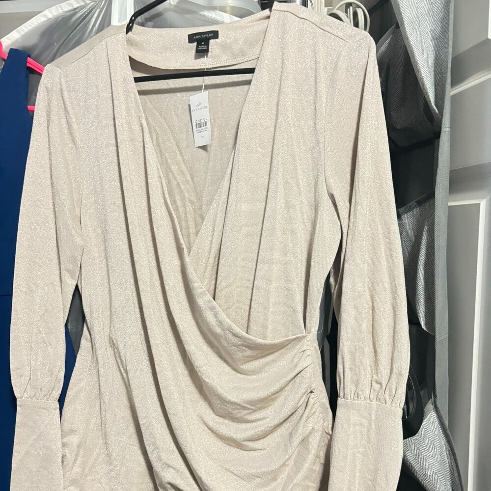 Ann Taylor beige shimmer top
